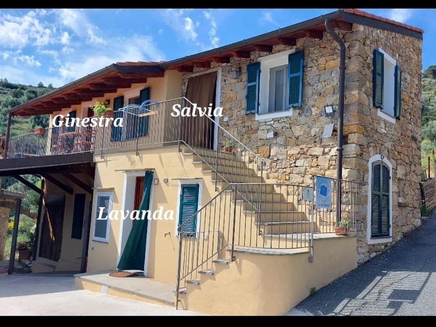 Il Nido Del Viaggiatore Vallebona Екстериор снимка